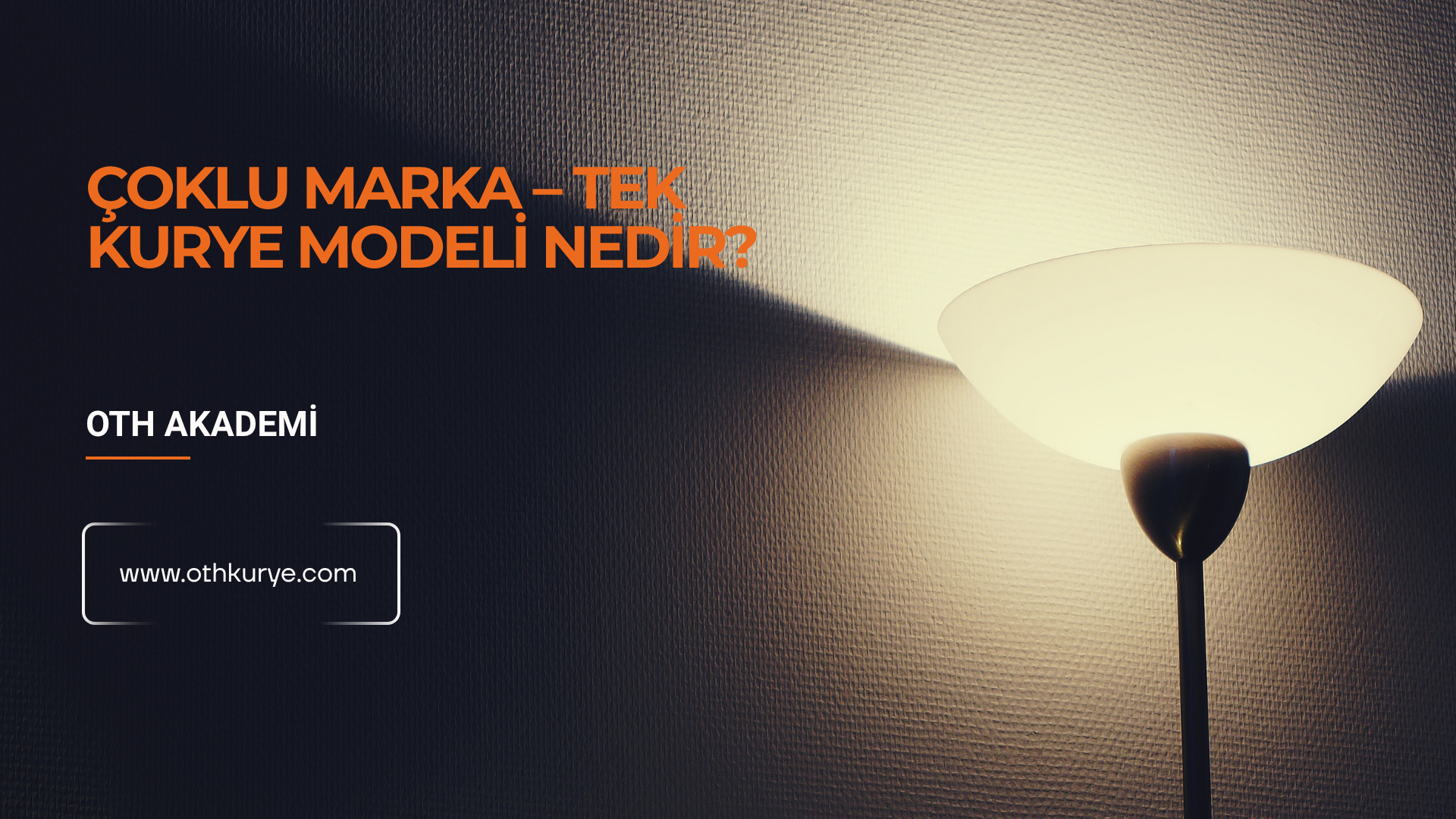 Çoklu Marka – Tek Kurye Modeli Nedir ?